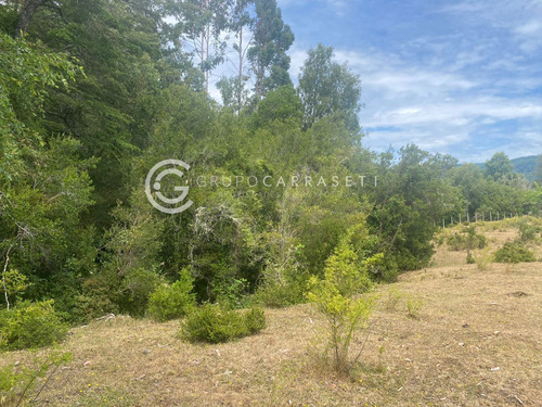 Campo Con Acceso A Rio Cercano A La Unión