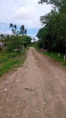 Imagem 12 de 14 de Ampla Chácara 4dorm, Itanhaém- Pq Vergara À Venda. 9606