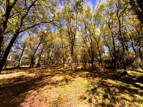 Terreno Exclusivo Frente Al Río En B° Villa Strada. Santa Rosa De Calamuchita.(cód. 2136)
