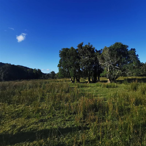 Gran Terreno Agrícola En Venta En Toltén