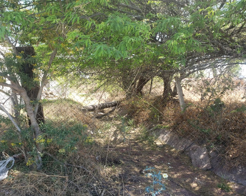 Terreno En Venta En Pie De Gallo A 500m De Carretera