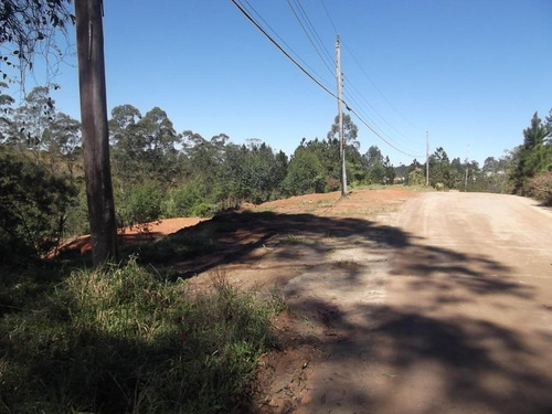 Terreno Em Chácara Recanto Verde, Cotia/sp De 0m² À Venda Por R$ 250.000,00 - Te751436