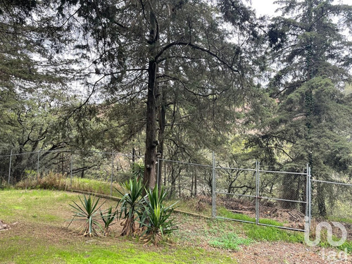 Venta Terreno 0 Ambiente Lomas De Tarango