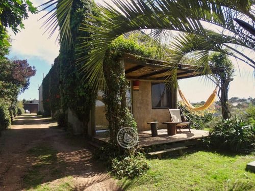 Bien Al Este - 1 En Punta Del Diablo