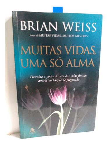 Livro Muitas Vidas Uma Só Alma Brian Weiss