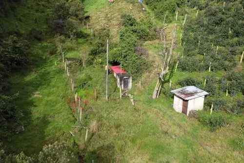 Terreno Para Inversión En El Alto Del Vino. 3.6 Fanegadas-7622 (7622).