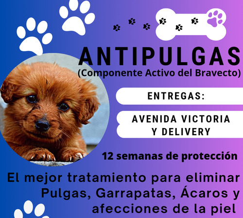 Antipulgas Para Perros 2 A 4,5 Kilos