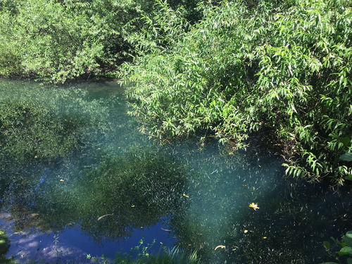 Oferta! Parcela Con Acceso Exclusivo Al Rio Tolten