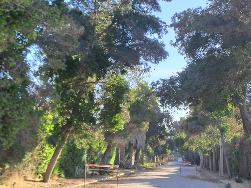 Parcela Con Muy Buena Ubicación En Camino Loreto, Lonquén