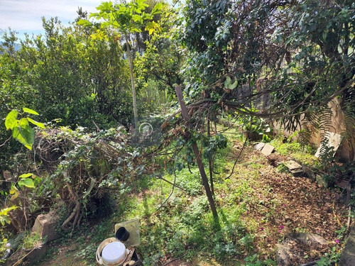 Imagem 23 de 30 de Casa Para Alugar No Bairro Fazendinha Em Teresópolis - Rj. - Ca-7032-2
