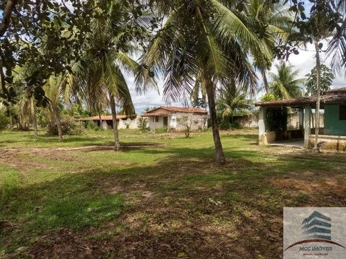 Imagem 10 de 10 de Granja A Venda Em Macaíba