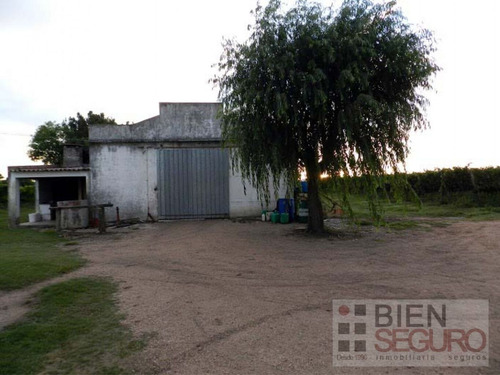 Chacra De 11 Hás, Con Bodega Y Viñedos, En Venta Próximo A Toledo