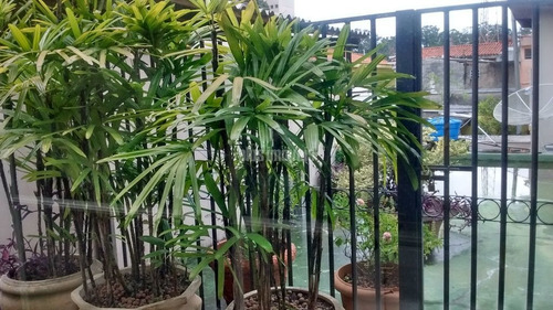Imagem 14 de 15 de Prédio Comercial Na Chácara Santo Antônio Clínica Médica, Acabamento Alto Padrão, Elevador, Show. - Ab131672
