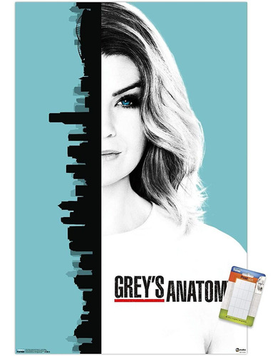 Grey&#39;s Anatomy Season 13 - Póster De Pared De Una ...