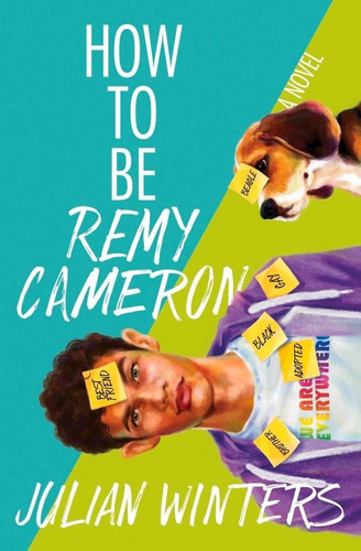 Libro How To Be Remy Cameron Nuevo