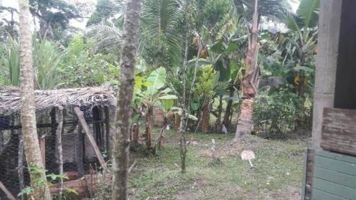 Imagem 4 de 5 de Chácara No Bairro Jardim Regina, Em Itanhaém, Litoral Sul