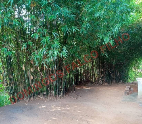 Imagem 3 de 14 de Venda - Chácara - Papirus - Limeira - Sp - D8196