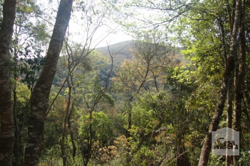 Imagem 1 de 10 de Lote Em Condomínio À Venda No Arvoredo - Código 218875 - 218875