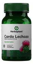 Comprar Cardo Lechoso Hígado Regeneración Herbaplant 30 Capsula