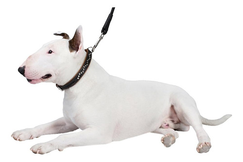 Collardirect Collar De Perro Con Tachuelas De Cuero Para Y Y