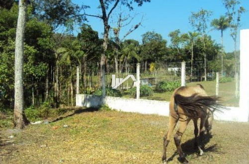 Imagem 8 de 14 de Sítio No Jardim Coronel Em Itanhaém