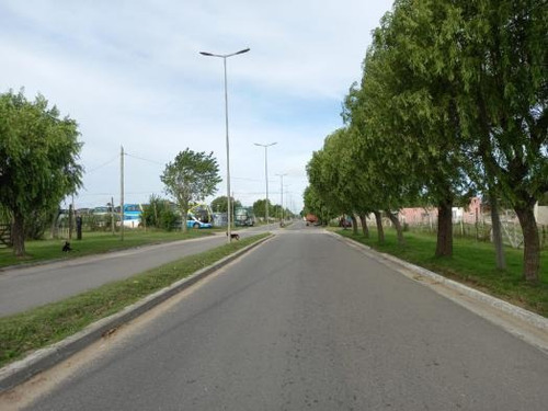 Imagen 4 de 7 de Lote En Venta (295)