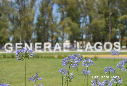 Lote General Lagos Todos Los Servicios A Minutos De Rosario