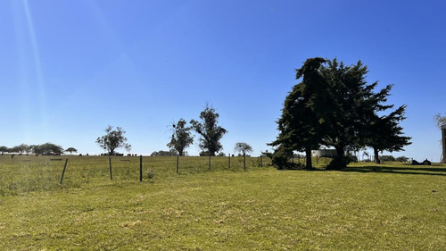 Imagen 15 de 30 de Campo Sobre Autopista Ruta 14 Colón Entre Ríos