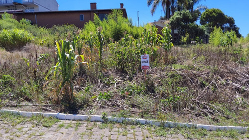 Imagem 2 de 2 de Terreno - Imigrante - Ref: 9066 - V-9066