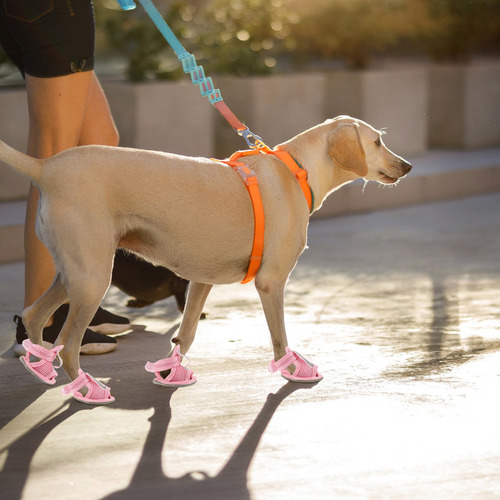 4 Botas Transpirables De Verano Para Mascotas, Sandalias De