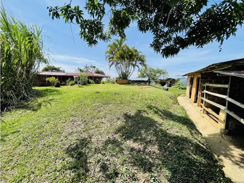 Se Vende Finca Productiva En San Roque, Antioquia.