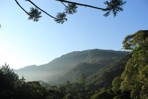 Sítio Em Macaé De Cima, Nova Friburgo, Rj.