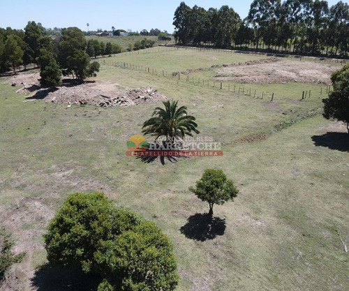 Imagen 24 de 25 de Chacra En Venta 3has, Casa, Arroyo, Tajamar, Monte, Montevideo Rural, A Minutos De La Paz