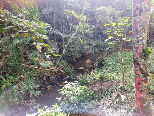 Imagem 12 de 20 de Chácara Em São Lourenço Com Lago Riacho 20.000 M² Ótimo Acesso