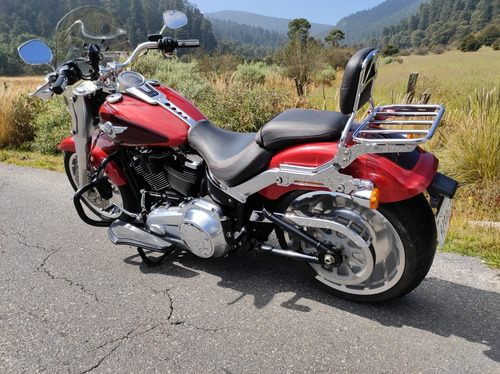 Imagen 13 de 15 de Harley Davidson Fat Boy