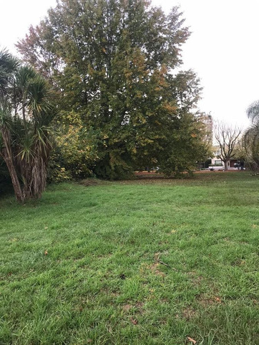 Imagen 10 de 27 de Lote Al Rio En Venta En Santa Maria De Tigre
