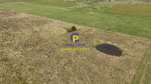 3 Hectáreas En Noya, Departamento De Canelones