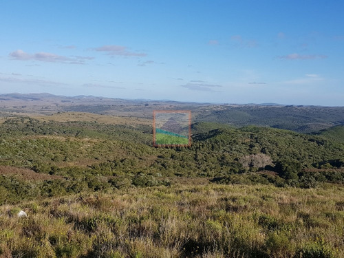 Imagen 2 de 14 de Campo En Carapé Maldonado, 267 Hás Con Casa