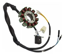 Comprar Estator 12 Bobinas Para Moto Italika Dm250 Dm 250 250x