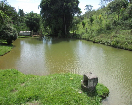 Imagem 5 de 9 de Sitio - 04340 - 33229065