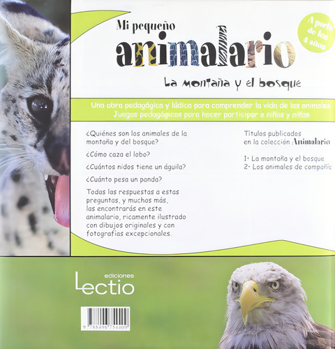 La Montaña Y El Bosque, De Francesca Chiapponi; Marina Raffo; Patrick David. Editorial Lectio, Tapa Dura, Edición 1 En Español, 2010