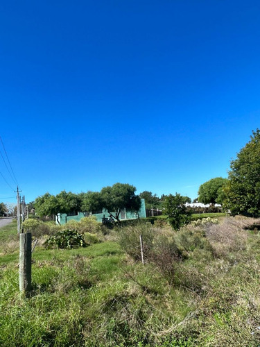 Lote En Venta En Colonia Del Sacramento (ref: Iea-2001)