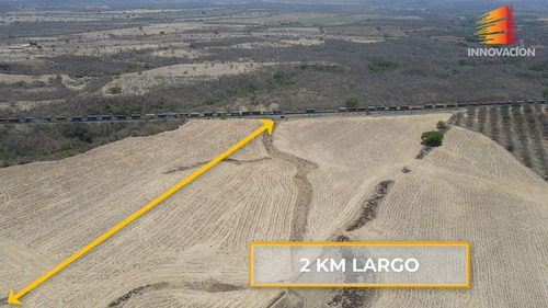 Se Vende Rancho De 186 Hectareas Planas, Tractorables, Limpias En Cuauhtemoc, C