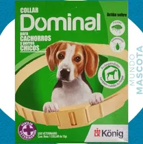 Comprar 10 Collares Dominal Anti Pulgas Raza Pequeña Y Cachorros
