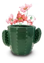 Comprar Maceta Cactus Cerámica