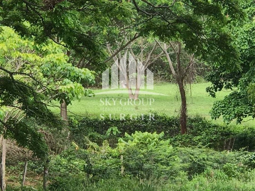 Imagen 4 de 8 de Se Vende Finca En Yaracal Falcon
