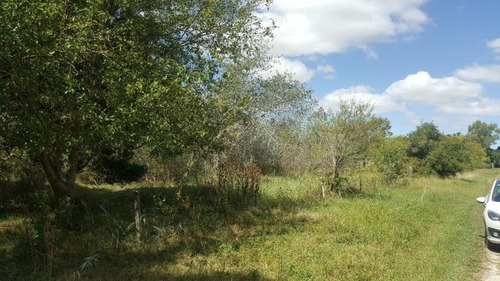 Imagen 2 de 11 de Terreno En Venta En Punta Indio