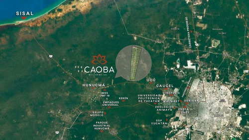 Imagen 3 de 7 de Venta De Lotes Residenciales Caoba, Hunucma