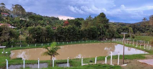 Imagem 3 de 15 de Linda Chácara Com Lago - Bich00011