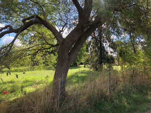 Terreno - Villa Parque Sicardi